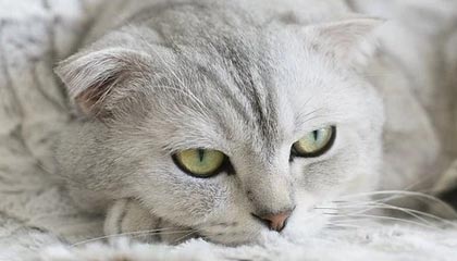 九游电脑版-【线上投票选择最喜欢的球员】粉丝助阵年度MVP，线上投票活动方案策划